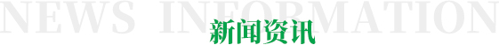 新聞資訊